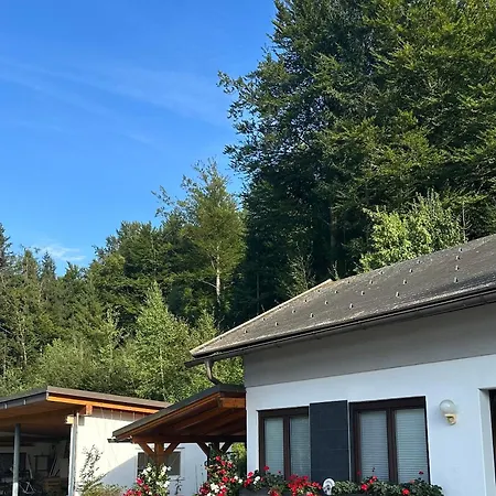 Waldblick, Faaker アパート